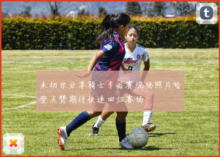 米切尔分享骑士季后赛现场照片哈登点赞期待快速回归赛场
